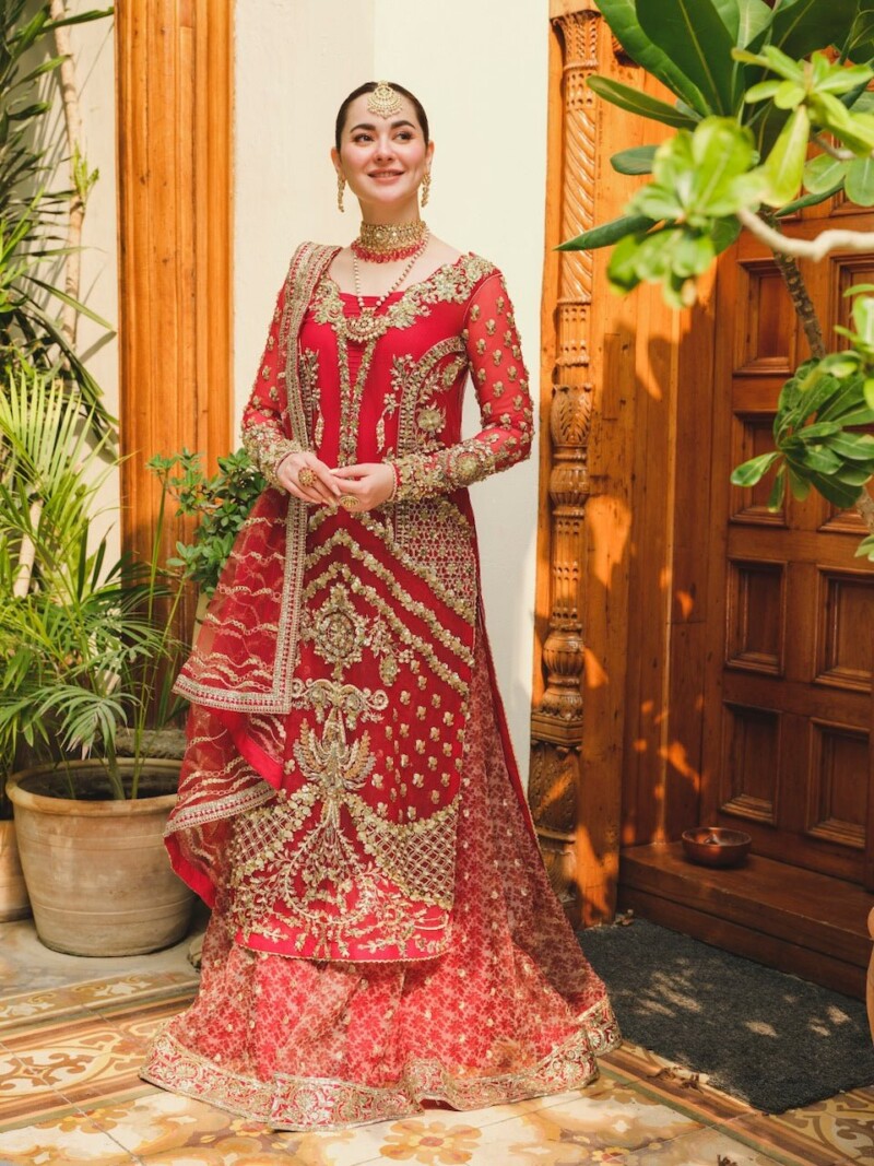 product Saira Shakira - Cayenne Embroidered Net Wedding Suit Collection 2024