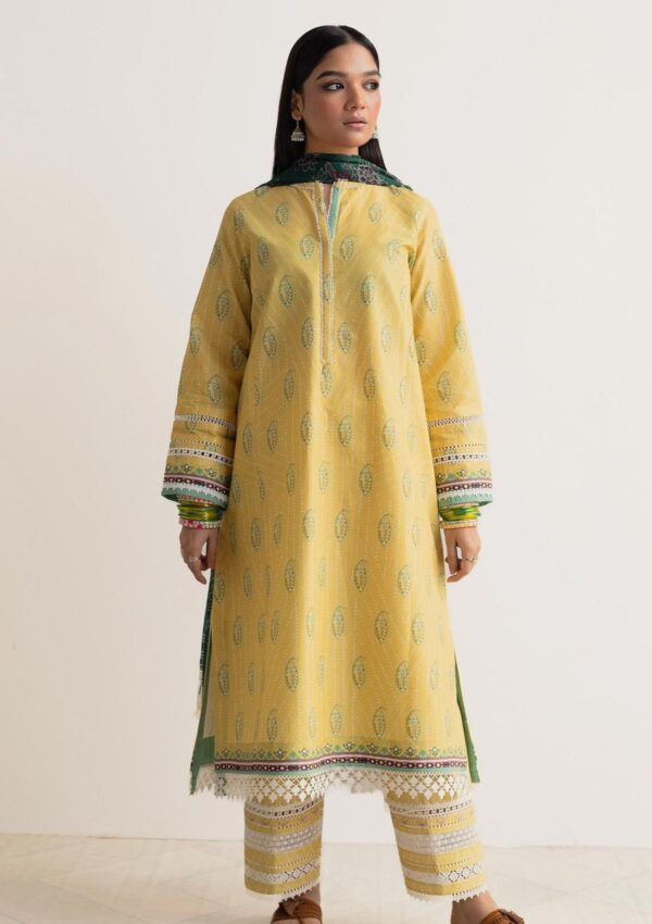 Bin Ilyas Clara Il24 211 A Lawn Collection