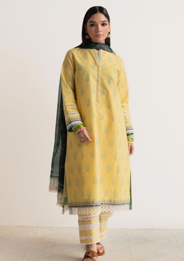 Bin Ilyas Clara Il24 211 A Lawn Collection