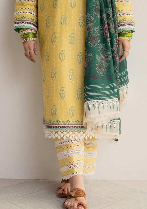 Bin Ilyas Clara Il24 211 A Lawn Collection