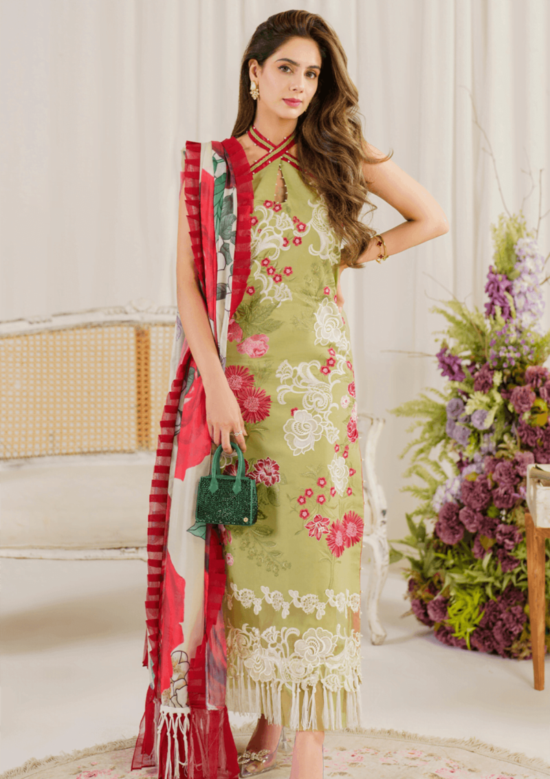 Asifa & Nabeel Ap24 07 Cosmos Pretty In Pink Premium Lawn Collection