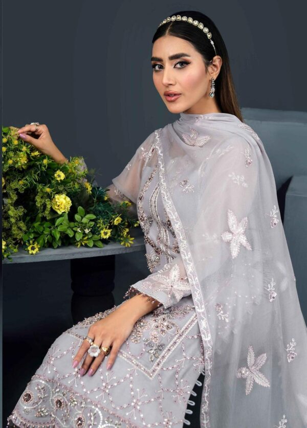 Alizeh Fashion D-01 Asra Embroidered Chiffon 3Pc Suit Collection 2024