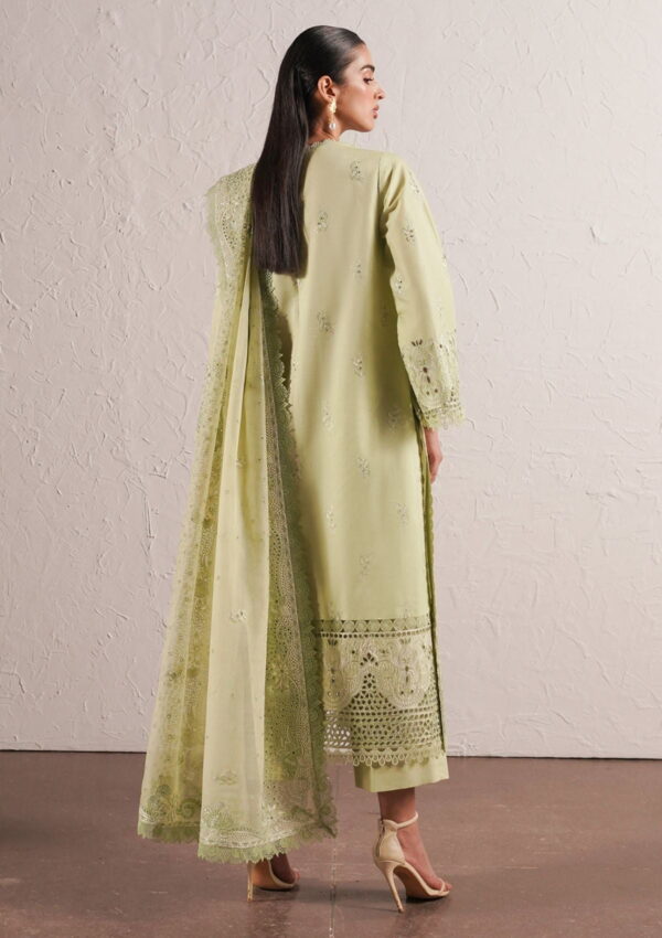 Afrozeh Acf 2 Kelly Chikankari Lawn Collection