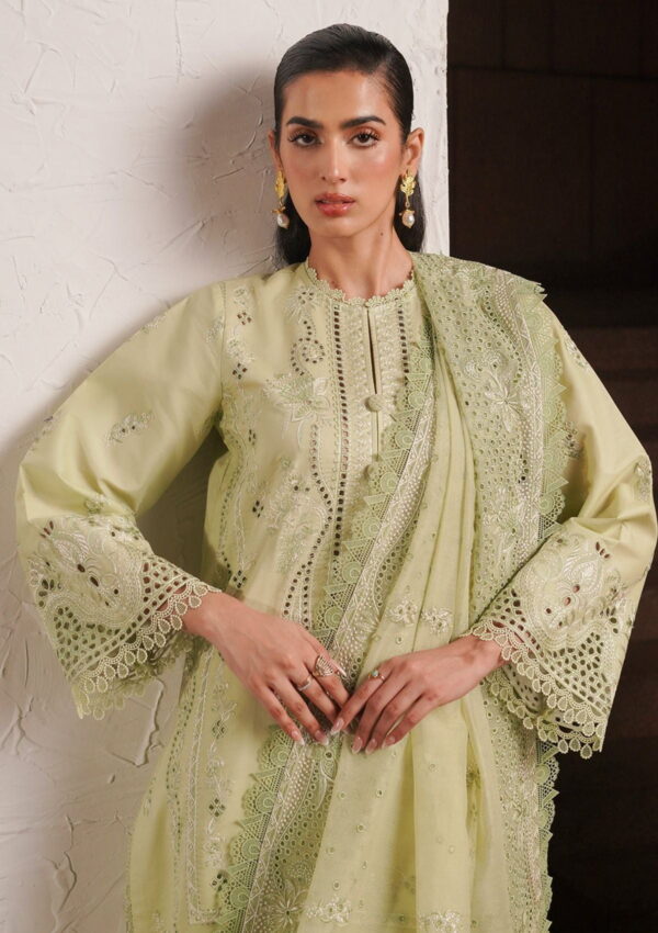 Afrozeh Acf 2 Kelly Chikankari Lawn Collection