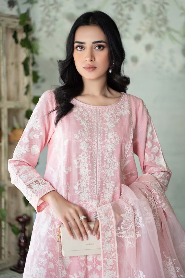 Noor D2 A Feroze And Mint Colour Block Luxury Chikankari Lawn 24 Collection 24