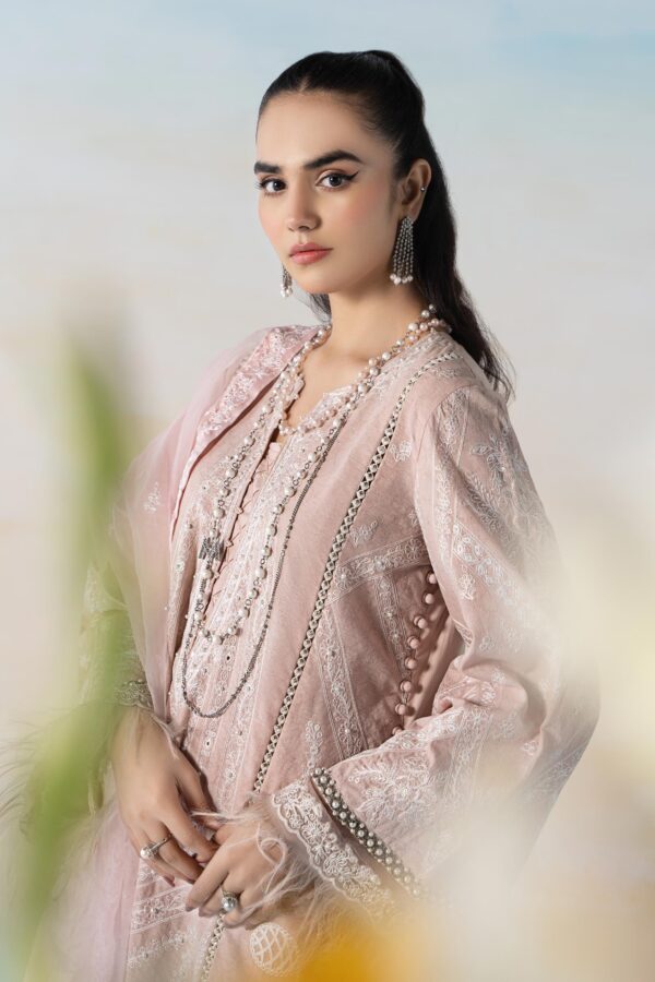 Noor By Sadia Asad D5 Handwork Laserkari Lawn 24 Collection 24