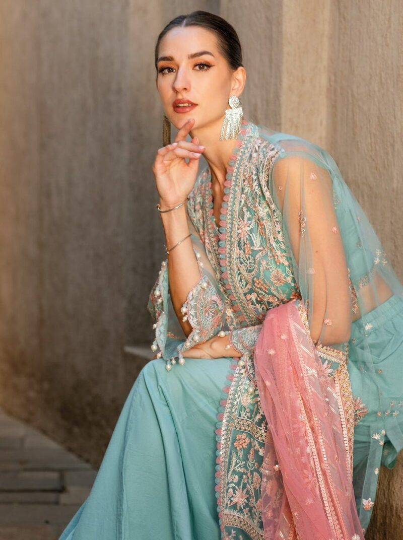 Gul Ahmed Fe-42010 Festive Net Collection 2024