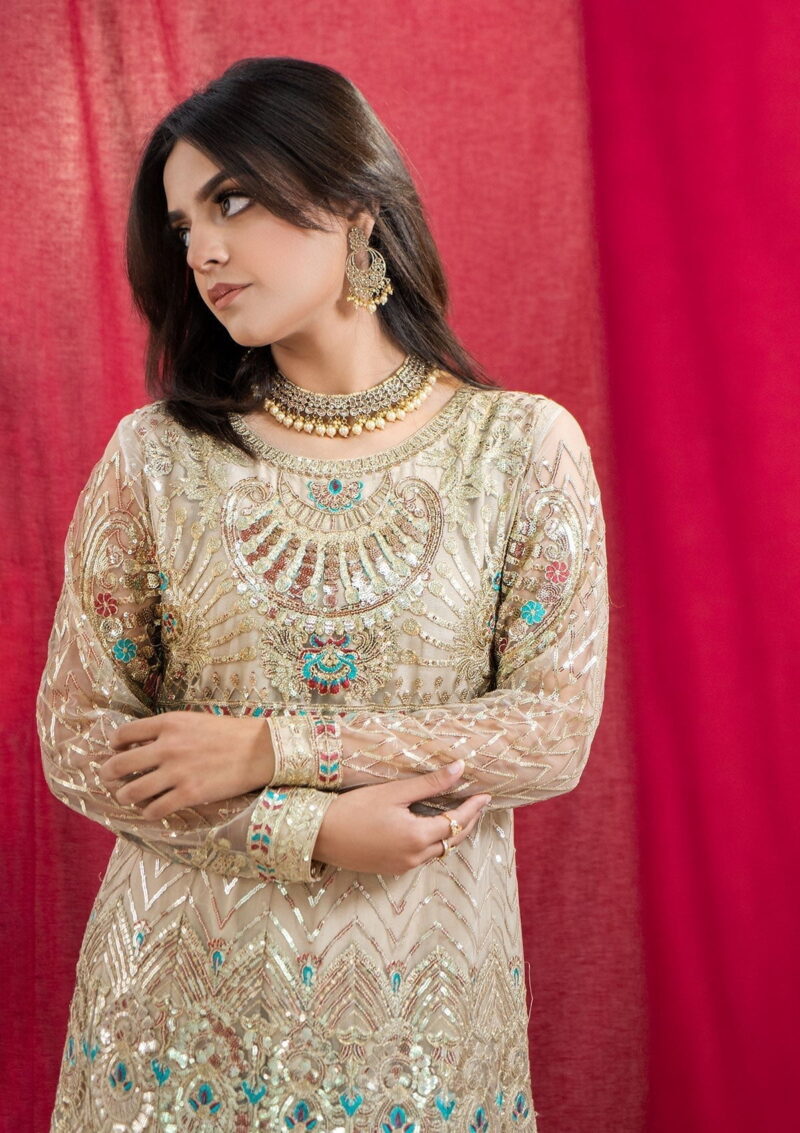 Rubaaiyat Embroidered Net Ren 2 Formal Collection