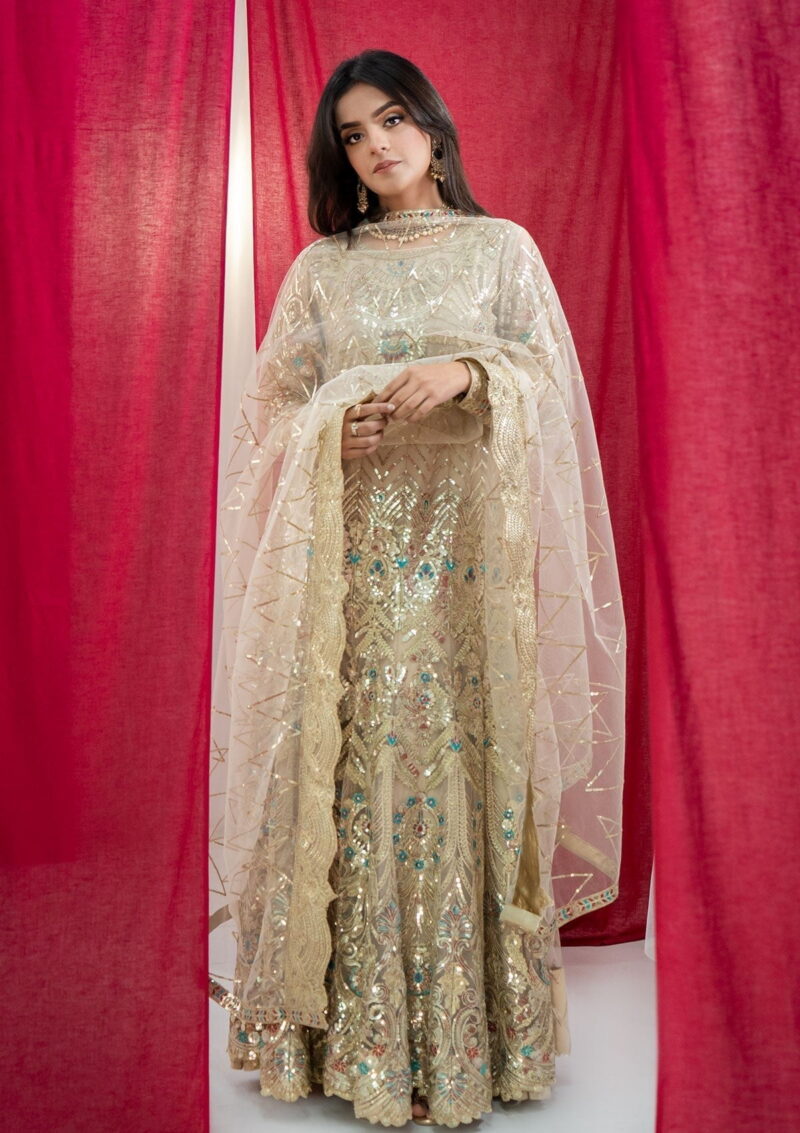 Rubaaiyat Embroidered Net Ren 2 Formal Collection