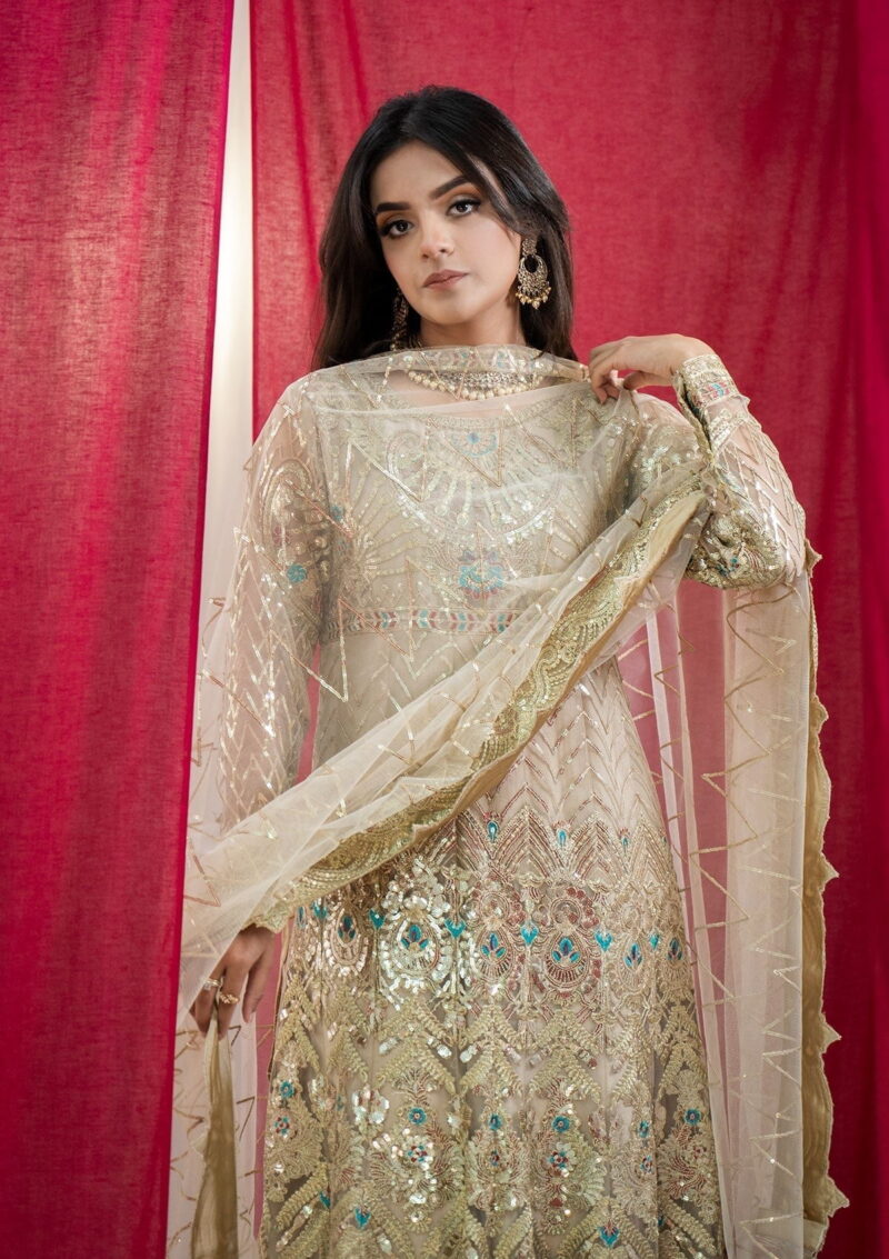 Rubaaiyat Embroidered Net Ren 2 Formal Collection