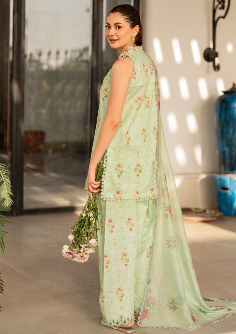 Asifa & Nabeel Meraki Summer Vol 2 Am24 11 Gul E Lawn Collection 24