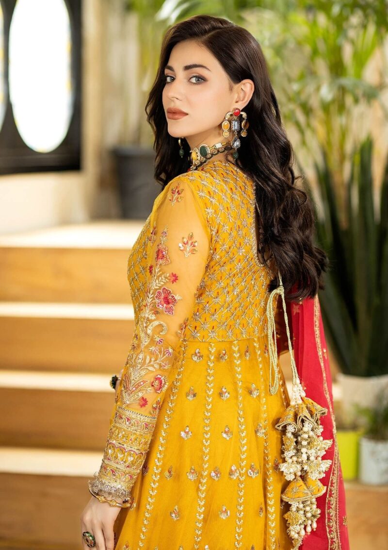 Imrozia Jhalak 183 Justajoo Formal Collection