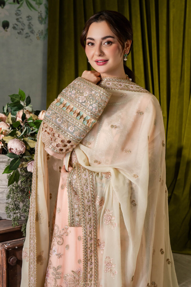 Imrozia I-193 Kashud Naina Chiffon