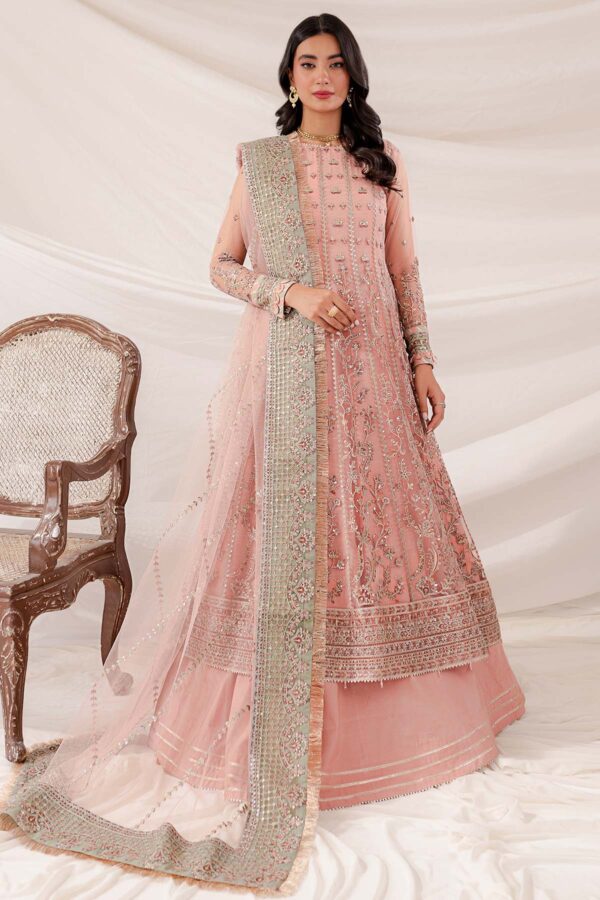 Rang Jafr0882 Multi Lines 5 Collection 24