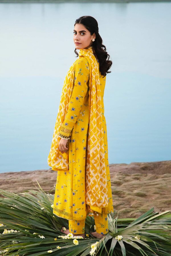 Rang Ja 5fr0885 Mustard Paisley Collection 24