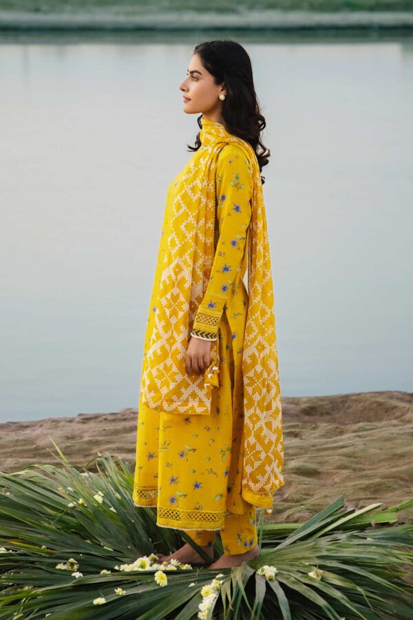 Rang Ja 5fr0885 Mustard Paisley Collection 24