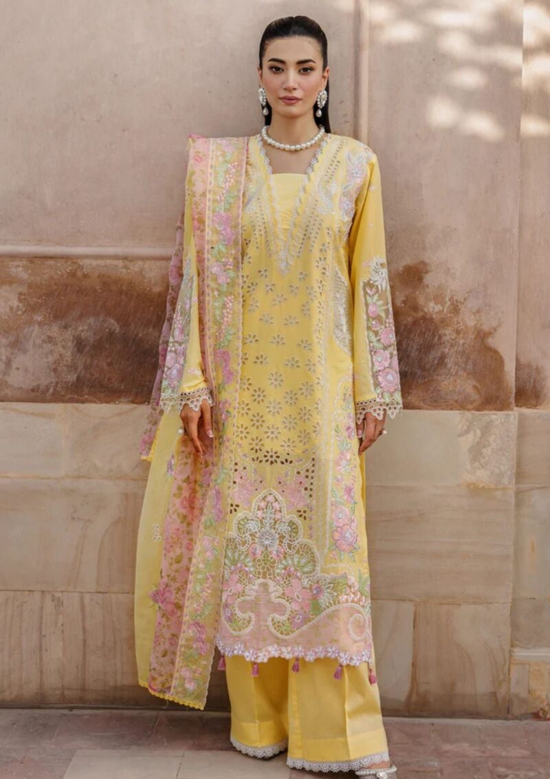 Raj Bari Amali Festive 24 RF 02 A Lawn Collection 24