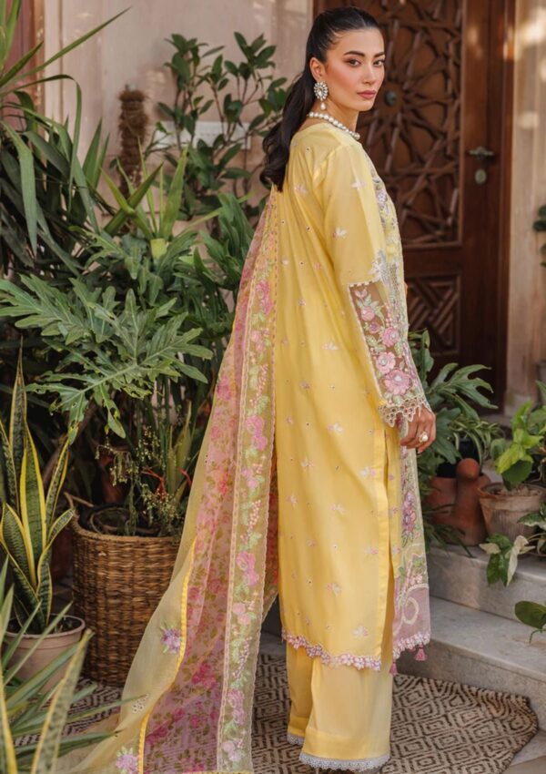 Raj Bari Amali Festive 24 Rf 02 A Lawn Collection 24