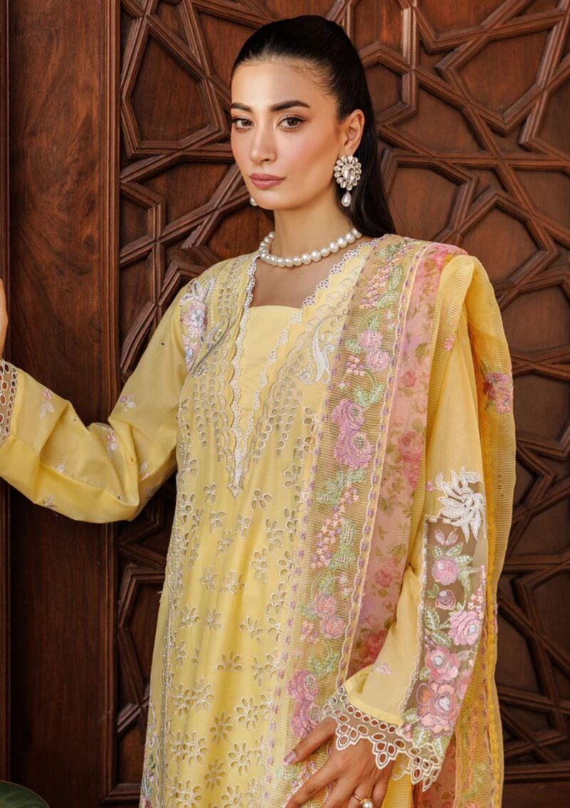 Raj Bari Amali Festive 24 RF 02 A Lawn Collection 24