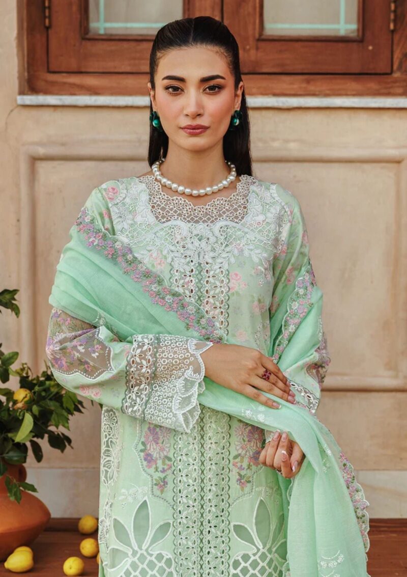 Raj Bari Amali Festive 24 RF 04 B Lawn Collection 24