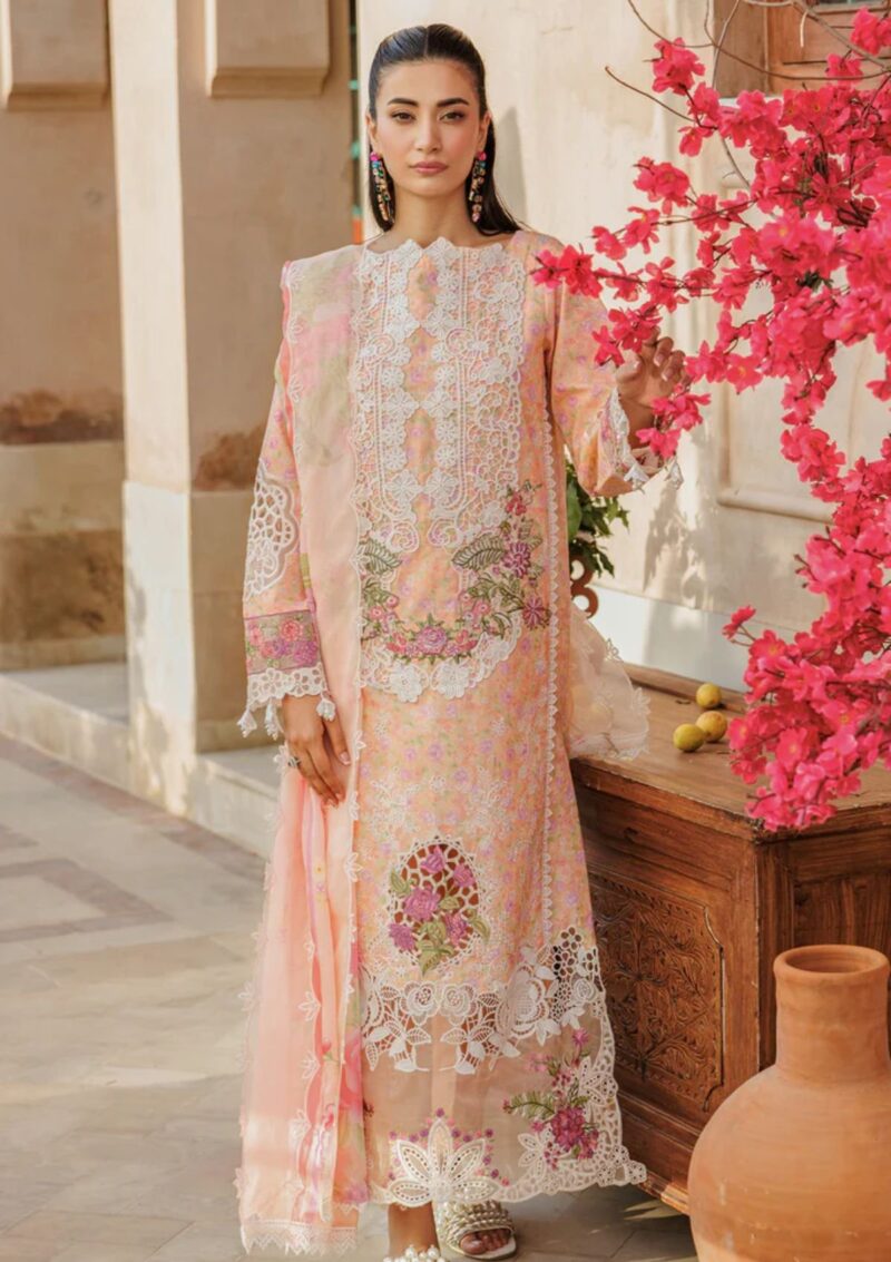 Raj Bari Amali Festive 24 RF 05 B Lawn Collection 24