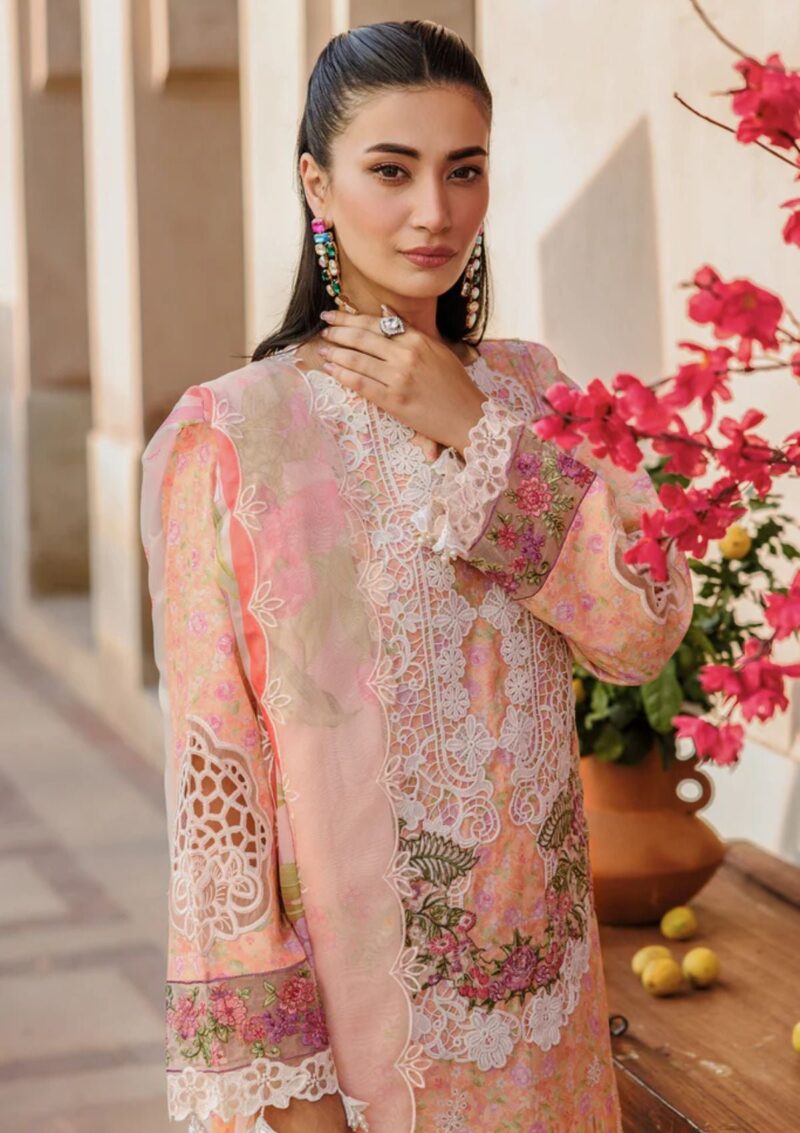 Raj Bari Amali Festive 24 RF 05 B Lawn Collection 24