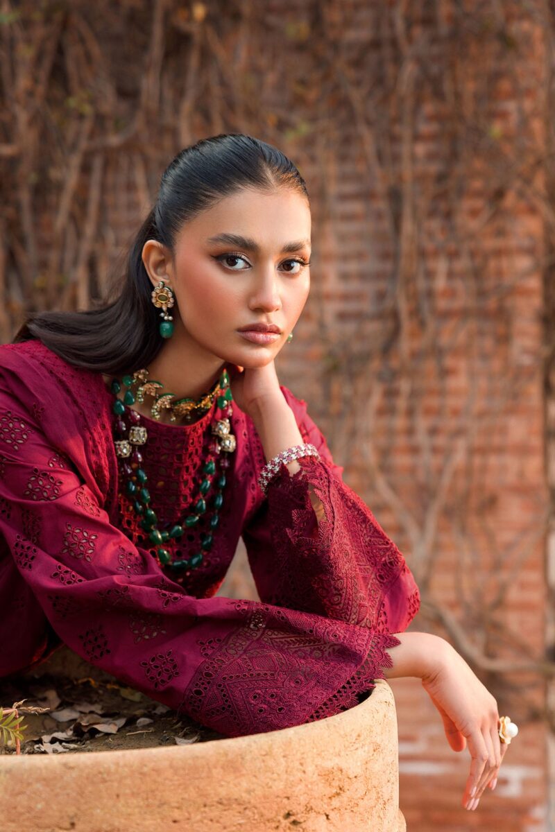 Faiza Saqlain Nuri Luxe Collection 24