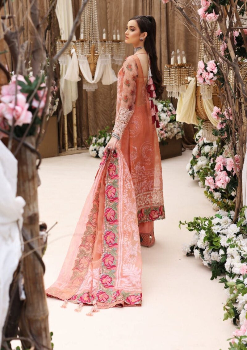 Jannan Chiffon Jl 50 Formal Collection