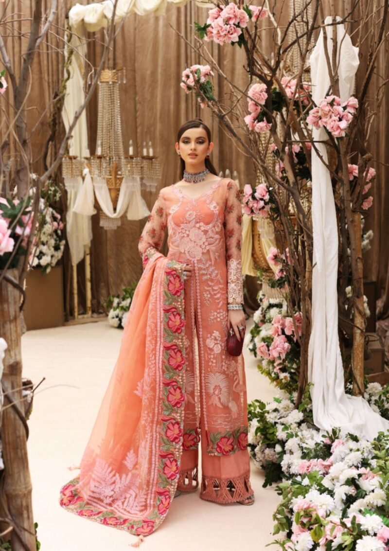 Jannan Chiffon Jl 50 Formal Collection