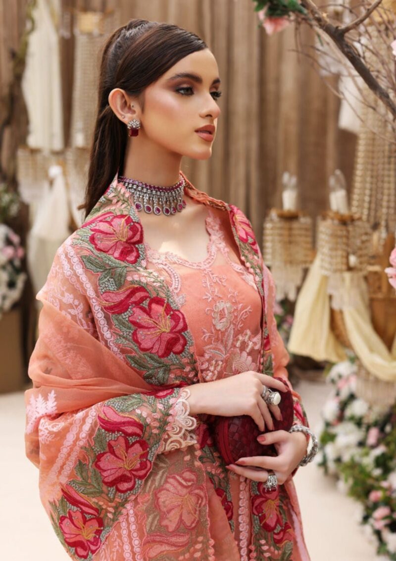 Jannan Chiffon Jl 50 Formal Collection