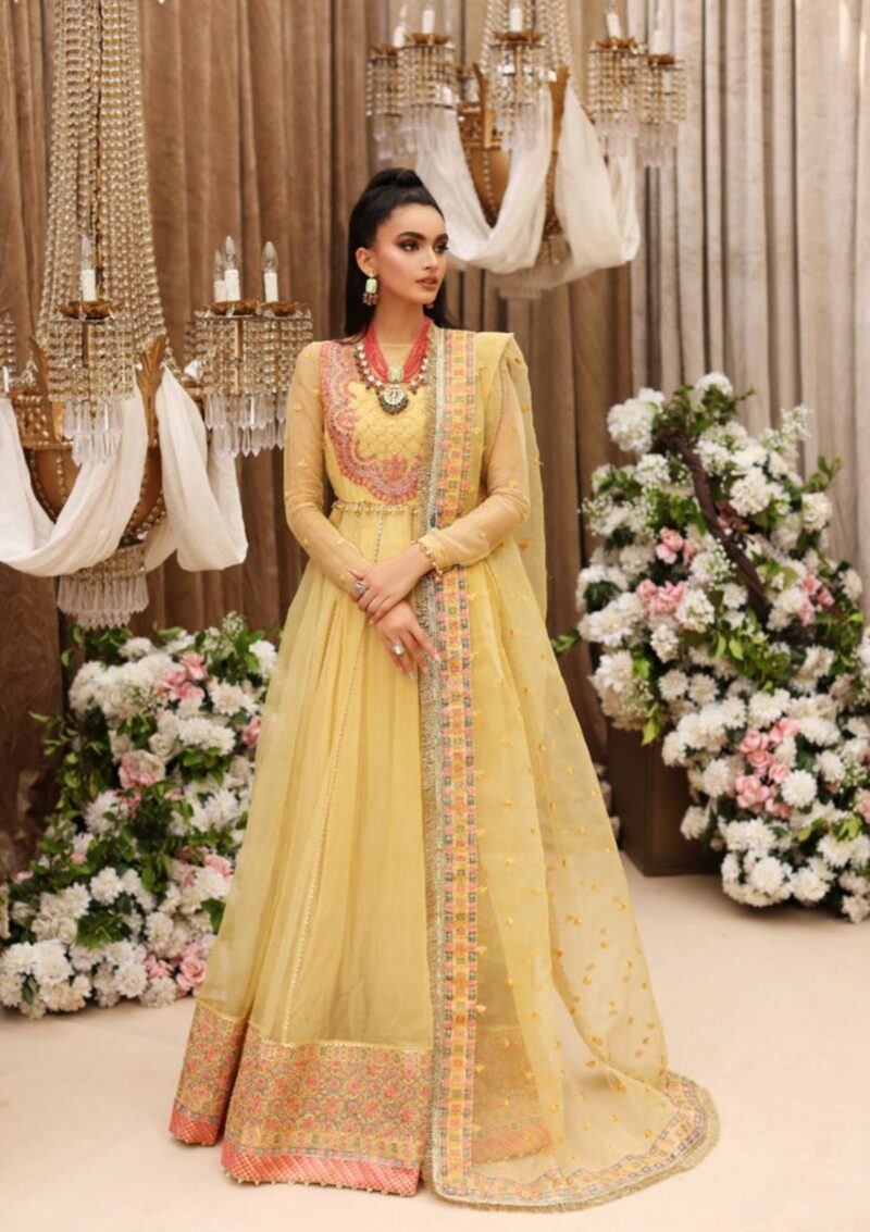 Shiza Hassan Gul E Bagah Mahgul D 3 Formal Collection