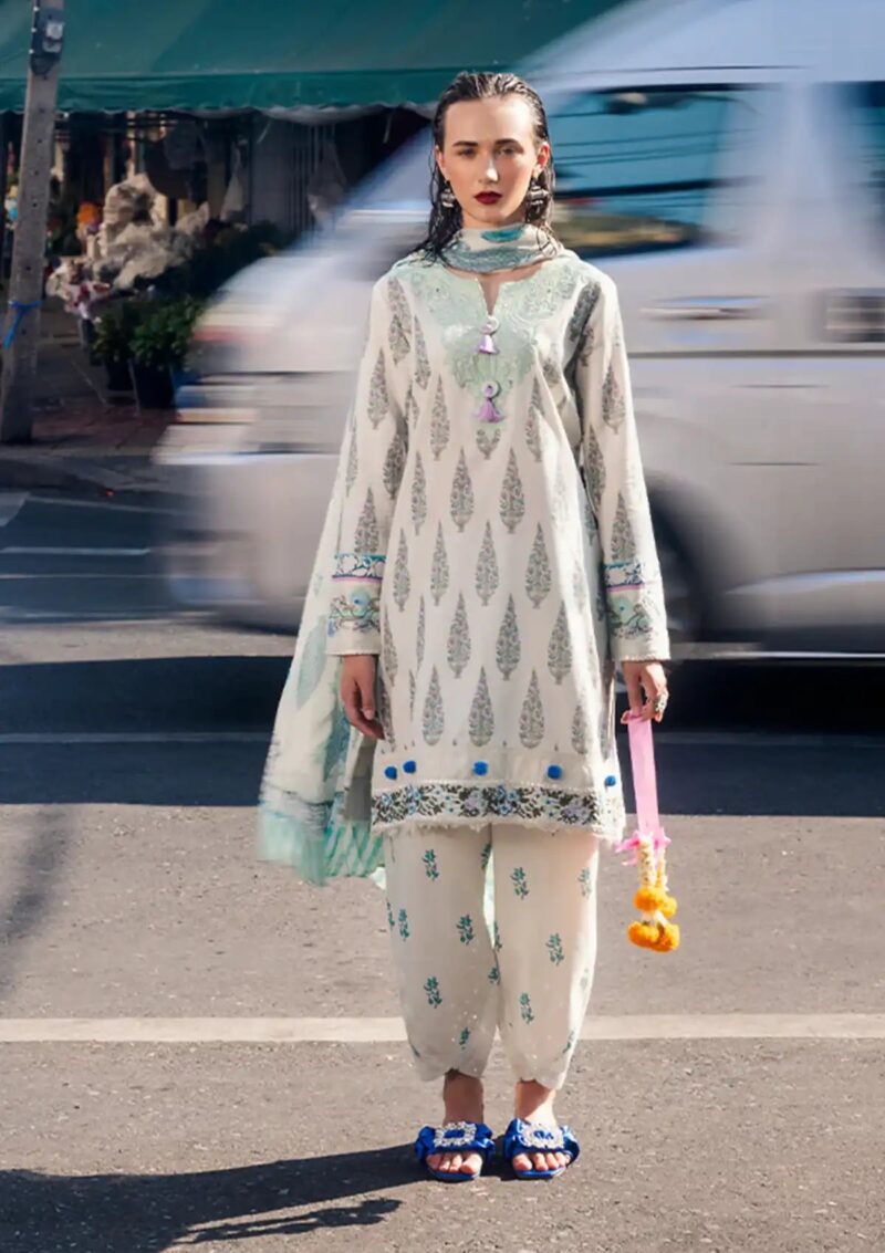 Roheenaz Taneez RT24 01 B Darya Lawn Collection 24