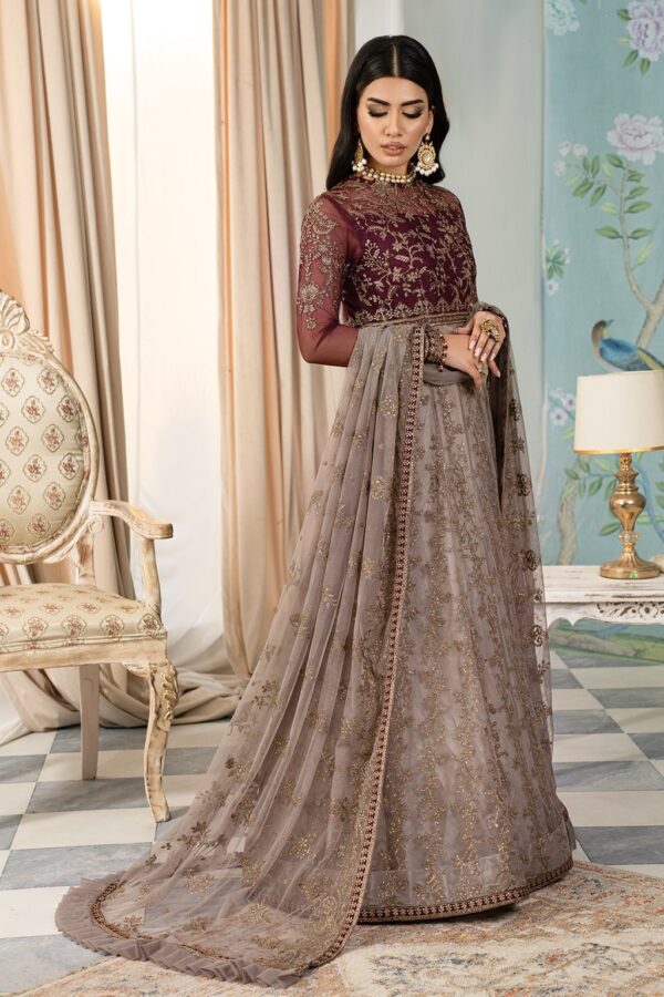 Zarif Afsanah Zaf 01 Zohra Luxury Embroidered Net 3Pc Collection 2024