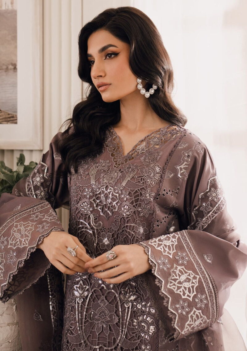 Bin Ilyas Naqsh D 01 Emire Lawn Collection