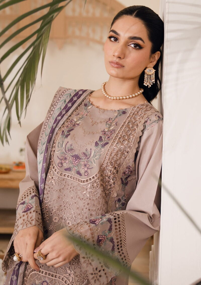 Bin Ilyas Naqsh D 02 Dilara Lawn Collection