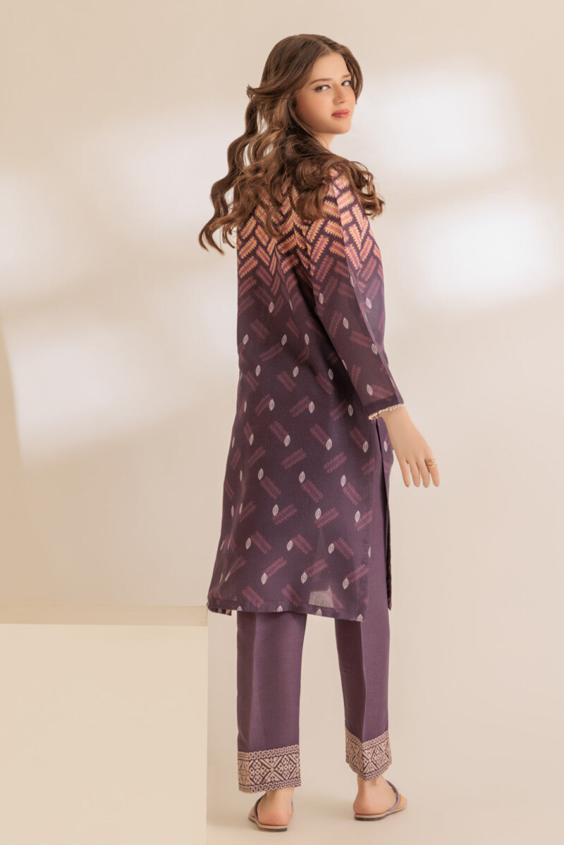 product Bonanza Satrangi Purple Shimmery 2 Piece Ss2242p31 Co Ord Sets