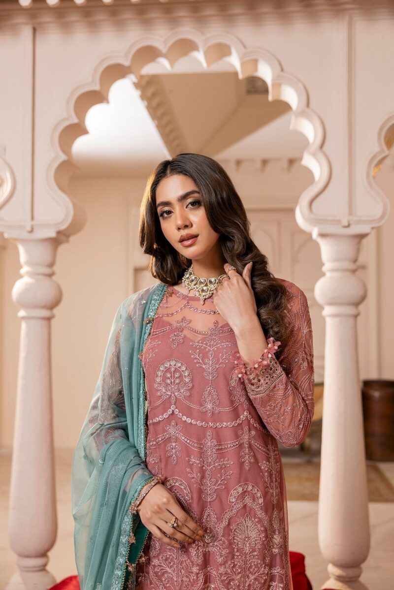 House Of Nawab Gulmira D-02 Tala Nawab Gulmira Embroidered Net Collection 2024