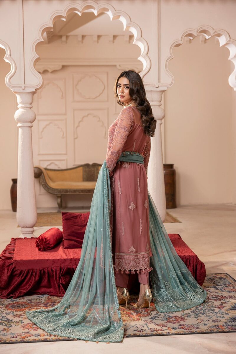 House Of Nawab Gulmira D-02 Tala Nawab Gulmira Embroidered Net Collection 2024