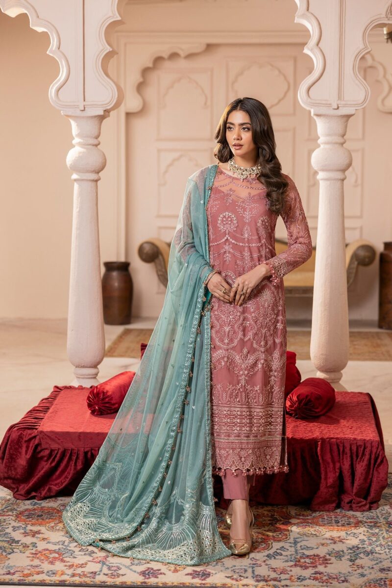 House Of Nawab Gulmira D-02 Tala Nawab Gulmira Embroidered Net Collection 2024