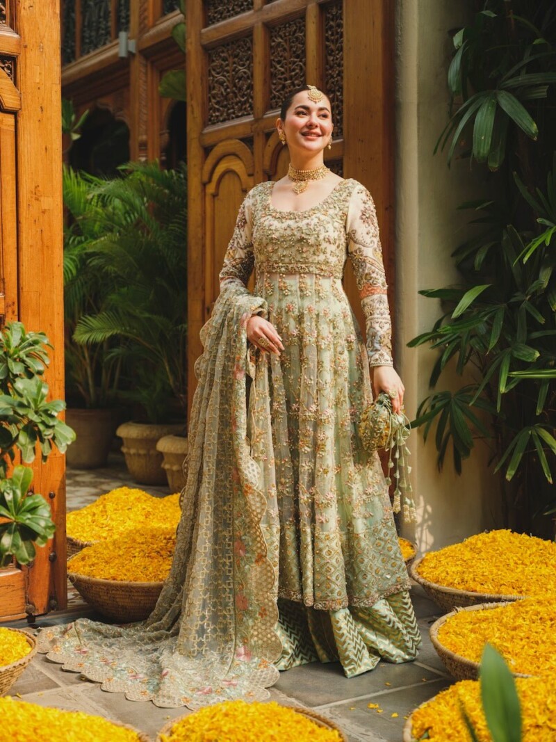 product Saira Shakira - Taupe Embroidered Net Wedding Suit Collection 2024