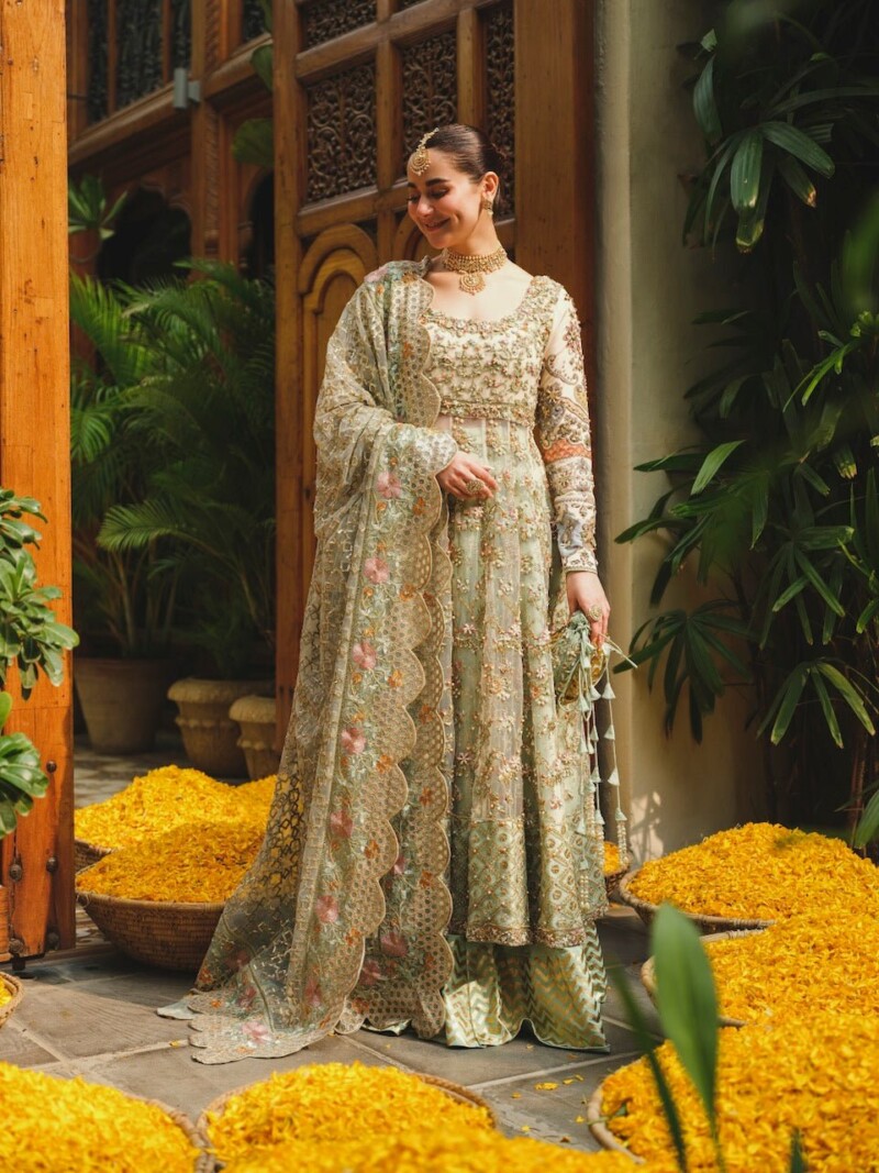 product Saira Shakira - Taupe Embroidered Net Wedding Suit Collection 2024