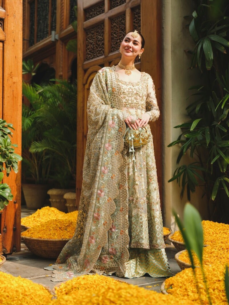 product Saira Shakira - Taupe Embroidered Net Wedding Suit Collection 2024