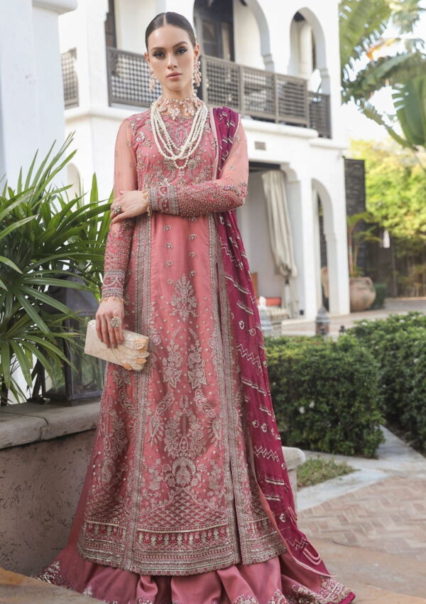 Alif Luxury Chiffon Blossom Formal Collection