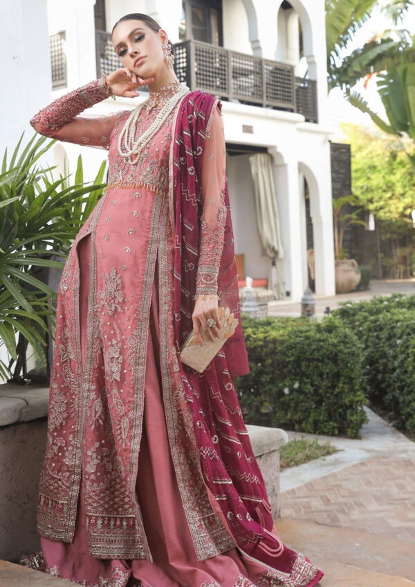 Alif Luxury Chiffon Blossom Formal Collection