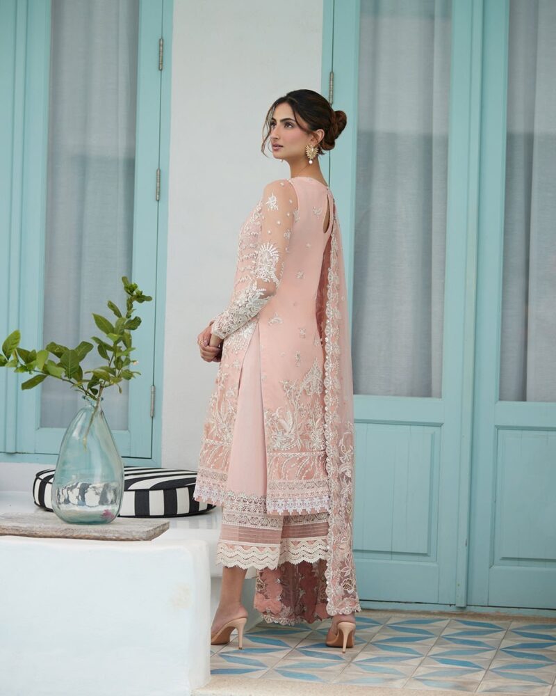 Faiza Saqlain Valetta Embroidered Net 3pc Suit Collection 2024