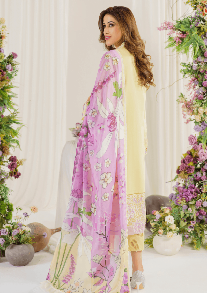 Asifa & Nabeel Ap24 10 Versaila Meraki Summer Vol 2 Premium Lawn Collection