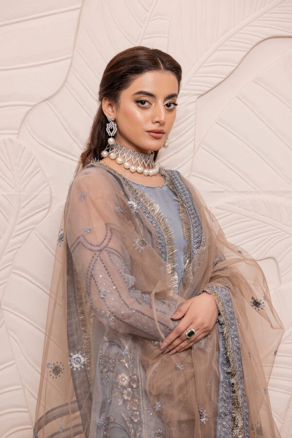 House Of Nawab Gulmira D-06 Zakiya Nawab Gulmira Embroidered Organza Collection 2024