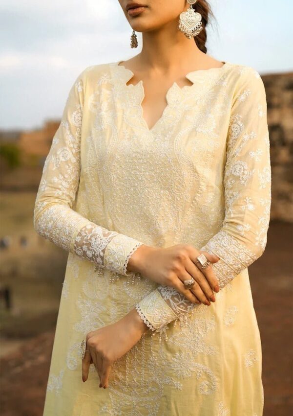 Aik Atelier Pal24 06 Pardes Lawn Collection