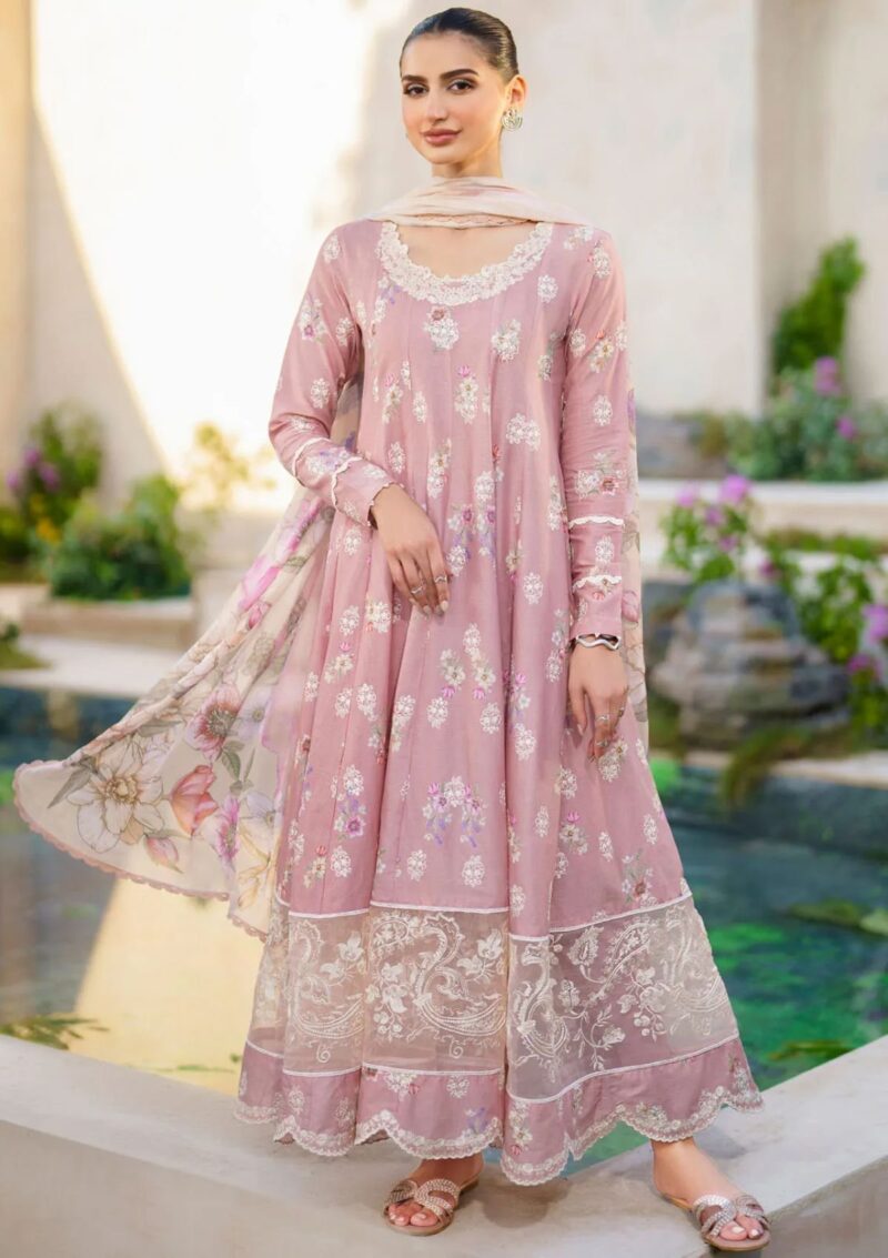 Iznik Festive 24 Sfl 03 Revelry Lawn Collection