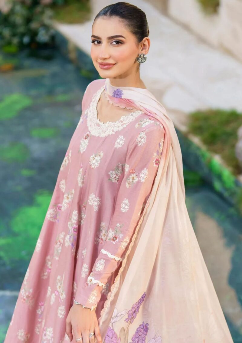 Iznik Festive 24 Sfl 03 Revelry Lawn Collection